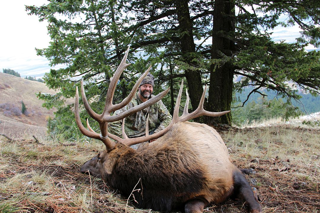 Still breeding in November, this big bull was bedded with a herd when the fog lifted, and Phillippe spotted the animal. He waited almost an hour for the bull to stand and turn broadside.